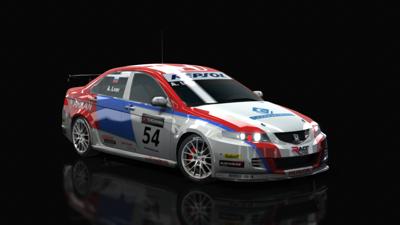 WTCC 2008 Golden Motors #54