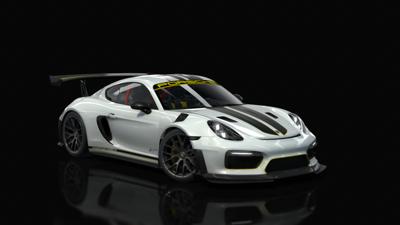 24_white_black_porsche