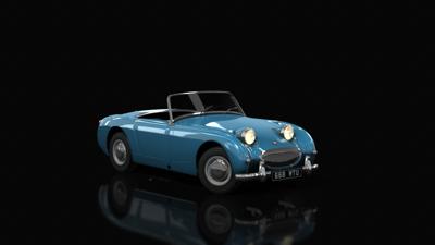 05_Speedwell_Blue