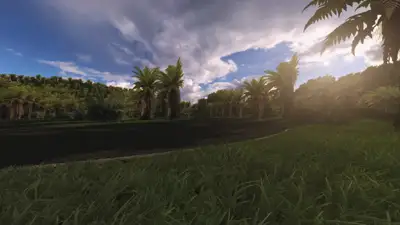 Palmetto Ridge