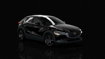 JET BLACK MICA