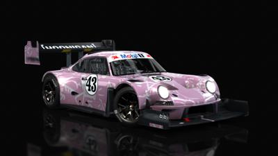 Porsche_Hoonipigasus