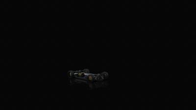 newbeetlecup_12