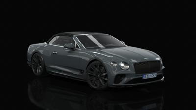 Cambrian Gray Metallic