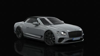 Silver Tempest Metallic