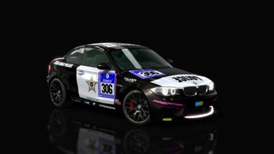 team_ring_police_306_2014