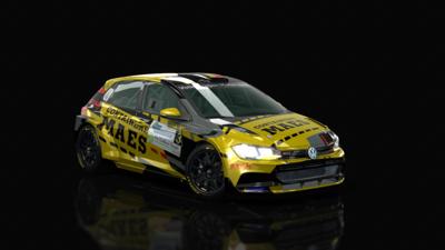 Volkswagen Polo GTI Maxi CUP