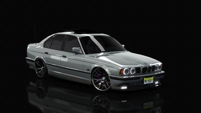 11.Arctic_Gray_c