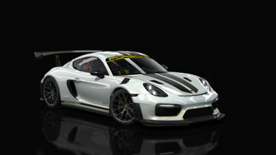24_white_black_porsche