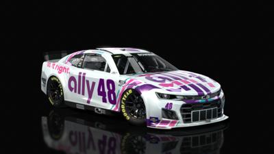 48_ally_do_it_right